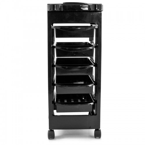 Salon Spa Trolley Storage Cart Hair Coloring Beauty Rollabout Organizer Station T-048
