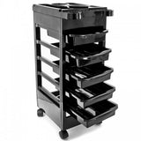 Salon Spa Trolley Storage Cart Hair Coloring Beauty Rollabout Organizer Station T-048